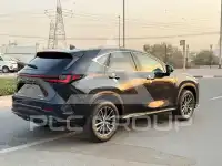 2025 Lexus NX250