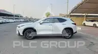 2025 Lexus NX250