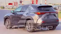 2025 Lexus NX250