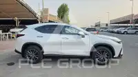 2025 Lexus NX250
