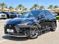2025 Lexus NX250