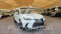 2025 Lexus NX250