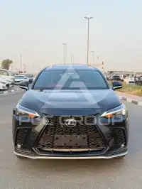 2025 Lexus NX250