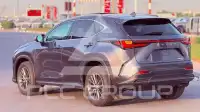 2025 Lexus NX250