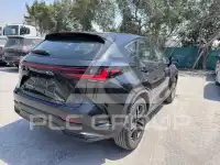 2025 Lexus NX250