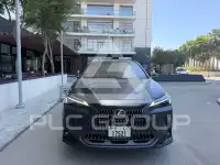 2025 Lexus NX250