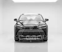2025 Lexus NX250