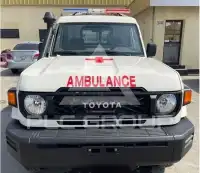 2025 Toyota LAND CRUISER