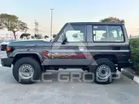 2025 Toyota LAND CRUISER
