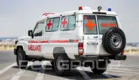 2025 Toyota LAND CRUISER