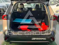 2025 Toyota Wildlander