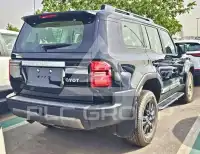 2025 Toyota Prado