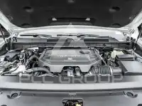 2026 Infinity QX80