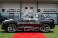 2026 Lexus NX250