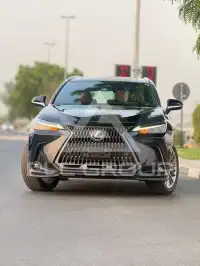 2026 Lexus NX250