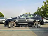 2026 Lexus NX250