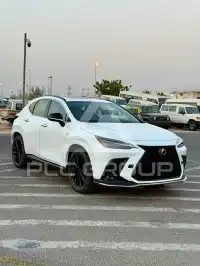 2026 Lexus NX250