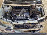 2007 Toyota COROLLA