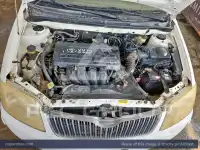 2007 Toyota COROLLA