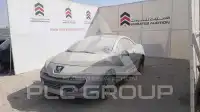 2009 Peugeot 207