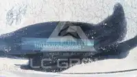 2019 Nissan MAXIMA