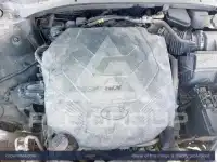 2021 KIA Telluride