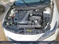 2023 Nissan MAXIMA