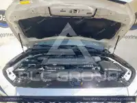 2023 Infinity QX80