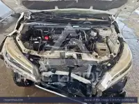 2023 Toyota Rush