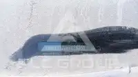 2023 KIA Picanto