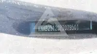 2023 KIA Picanto