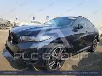 2024 BMW X6
