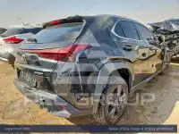 2024 Lexus UX