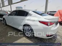 2024 Lexus ES300