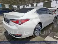 2024 Lexus ES300