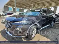2024 Ford Territory
