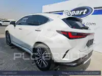 2025 Lexus NX250