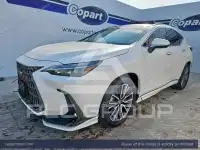 2025 Lexus NX250