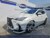 2025 Lexus NX250