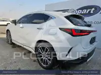 2025 Lexus NX250