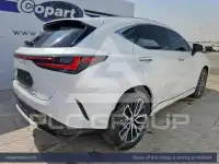 2025 Lexus NX250