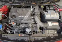 2019 KIA Rio