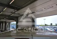 2019 Renault Trafic