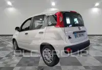 2021 Fiat Panda