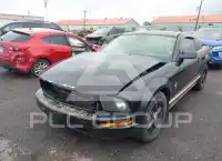 2007 Ford MUSTANG фото