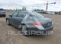 2008 Honda Accord photo