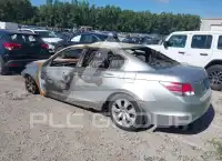 2008 Honda Accord photo
