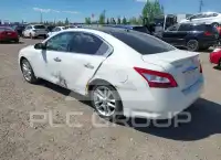 2009 Nissan MAXIMA фото