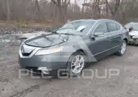 2009 Acura TL фото