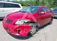 2009 Toyota COROLLA photo